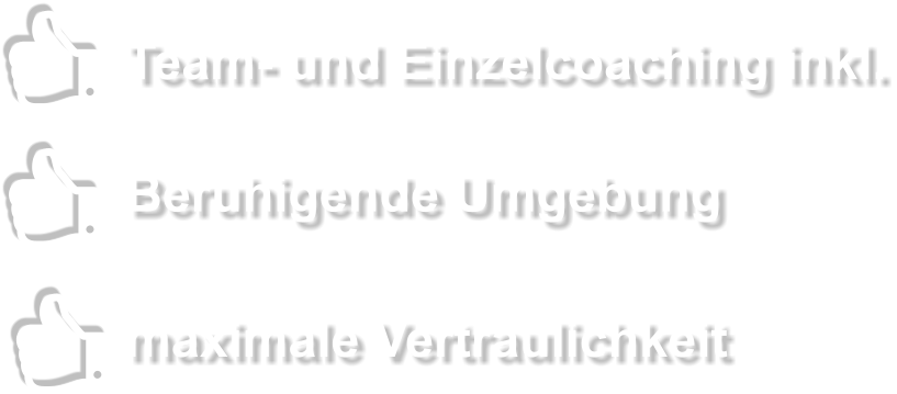 Team- und Einzelcoaching inkl. Beruhigende Umgebung maximale Vertraulichkeit