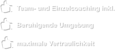 Team- und Einzelcoaching inkl. Beruhigende Umgebung maximale Vertraulichkeit